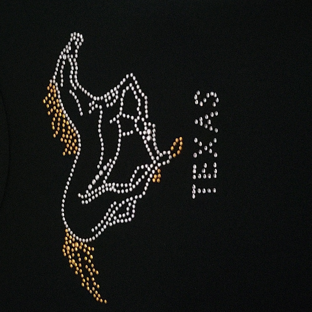Texas Horse T-shirt Girls Size XL American Apparel Black with Rhinestone Horse